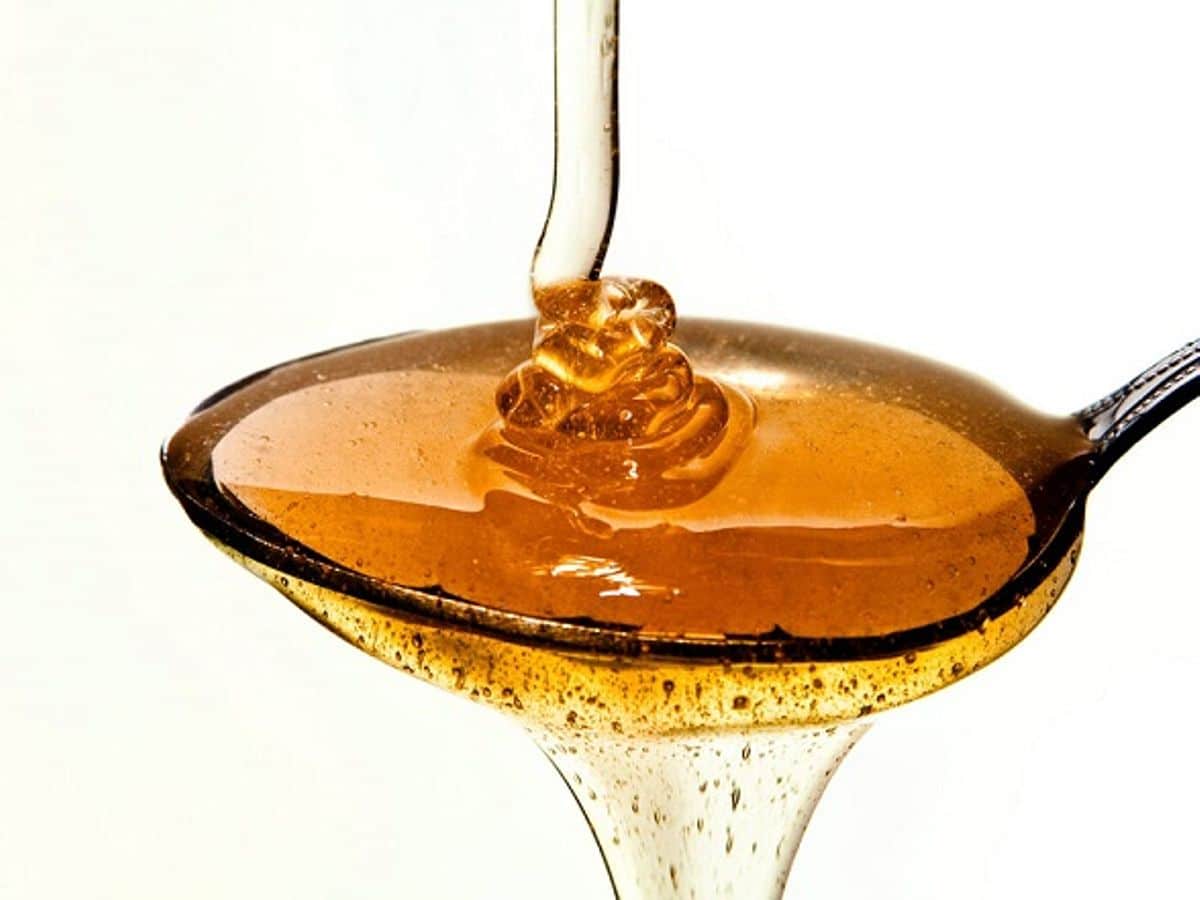 Süße ohne schlechtes Gewissen und gut für die Darmgesundheit. Dieser natürliche Sirup ist ein echter Diät-Hit.