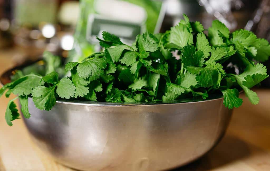 Ersetzt Dill und Petersilie, wächst auf der Fensterbank. Fügen Sie es der Suppe hinzu, es fördert die Verdauung und stärkt das Immunsystem.