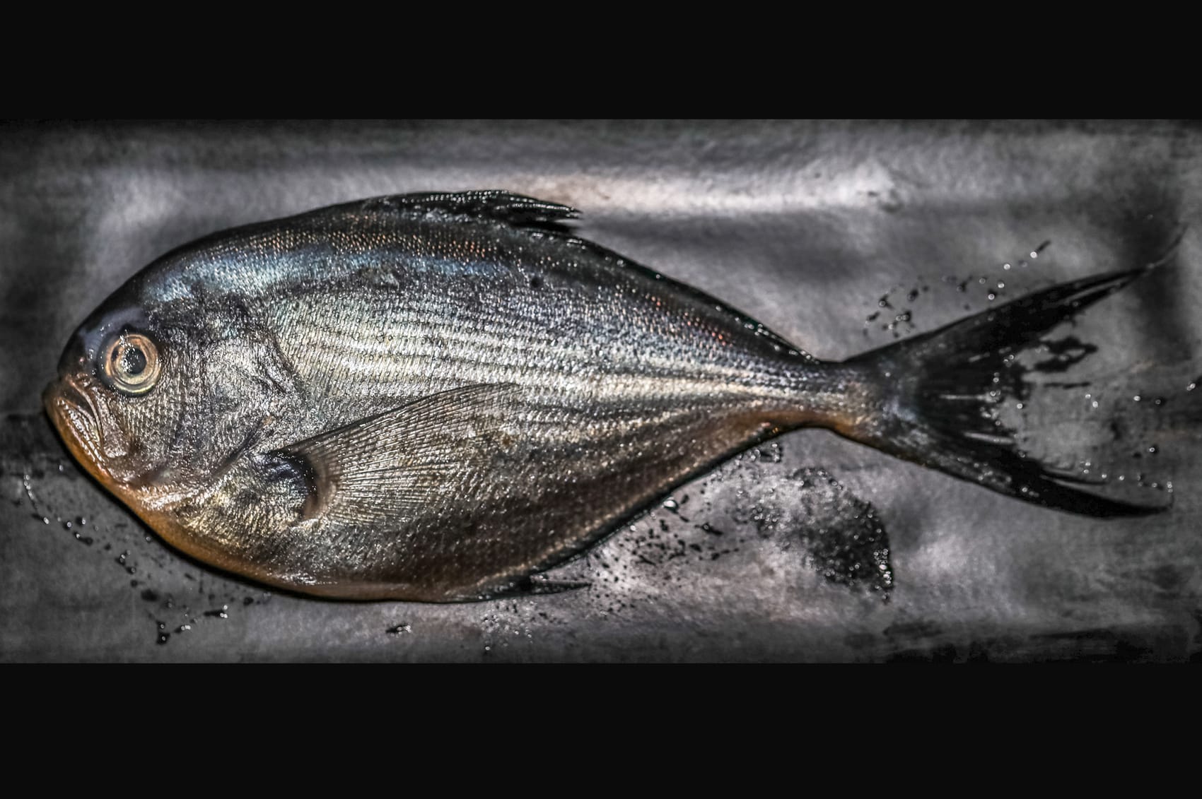 Kaufen Sie statt Kabeljau. Einer der gesündesten Fische