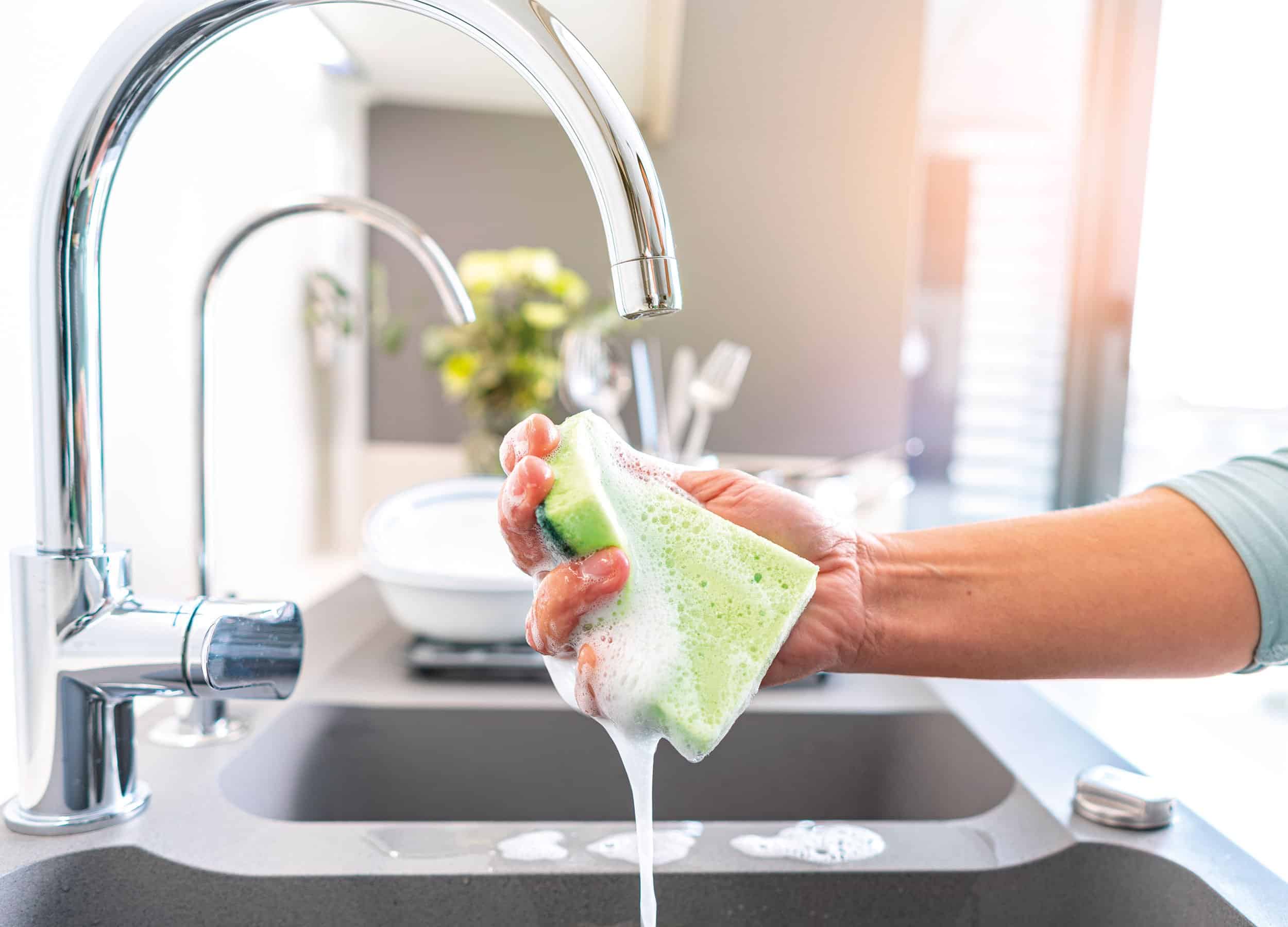 Das Mischen von Lorbeerblättern mit Spülmittel: Warum es empfehlenswert ist und wozu es gut ist