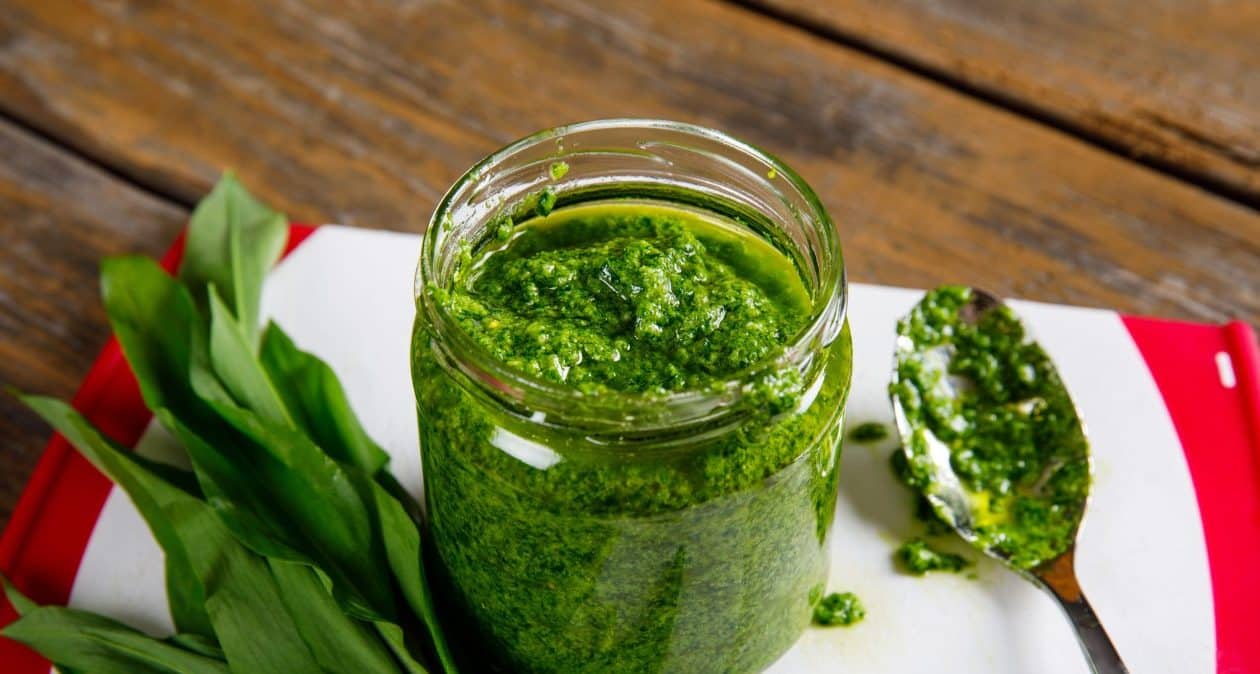 Die Zeit einer der gesündesten polnischen Pflanzen beginnt. Machen Sie Pesto und genießen Sie seine Kraft